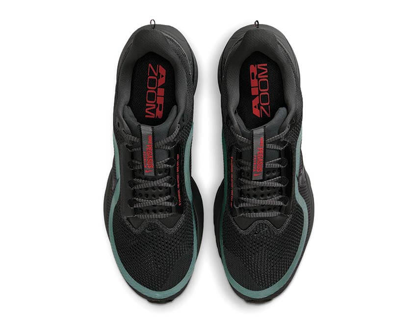 Nike Pegasus Premium Anthracite — vista en tres cuartos