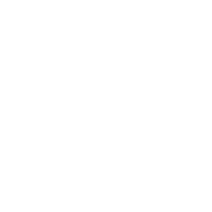 NOIRFONCE
