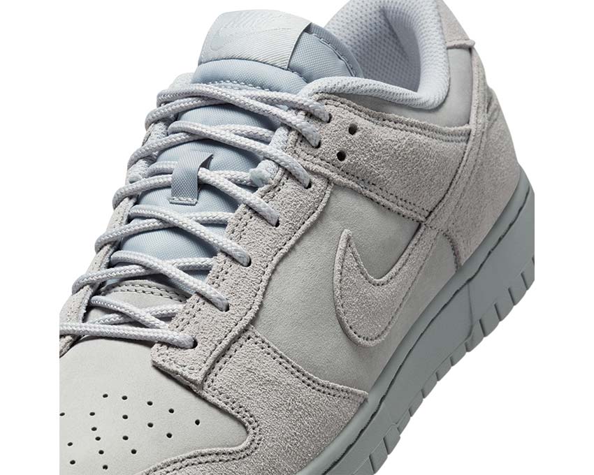 Nike Dunk Low Retro SE IB6651-002