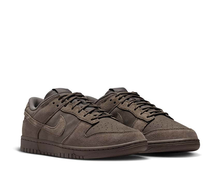 Nike Dunk Low Retro SE IB6651-200