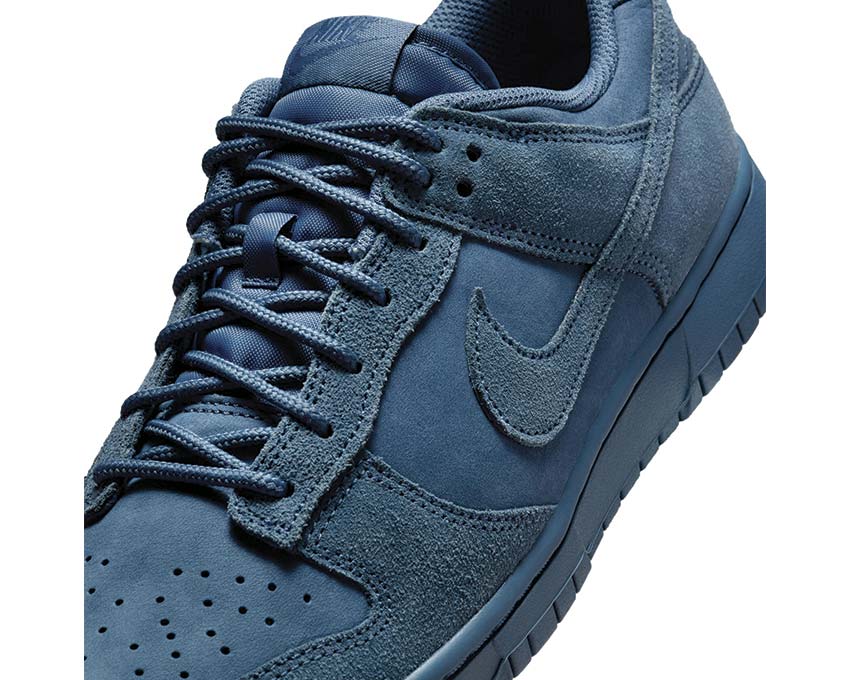 Nike Dunk Low Retro SE IB6651-400