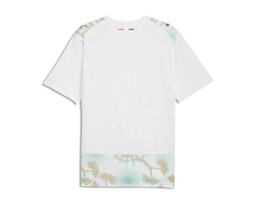 Puma FIF Away Jersey dos — dos maillot extérieur Côte d'Ivoire Puma