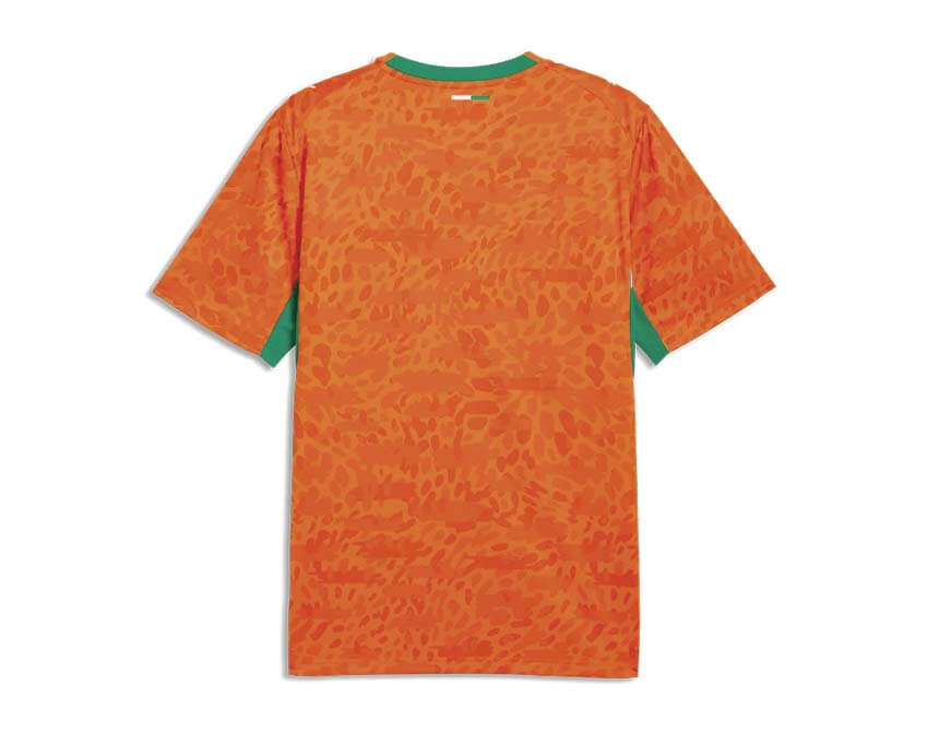 Puma FIF Home Jersey dos — dos maillot domicile Côte d'Ivoire Puma