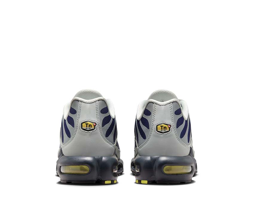Nike Air Max Plus Metallic Silver suola — bolla Air Max visibile