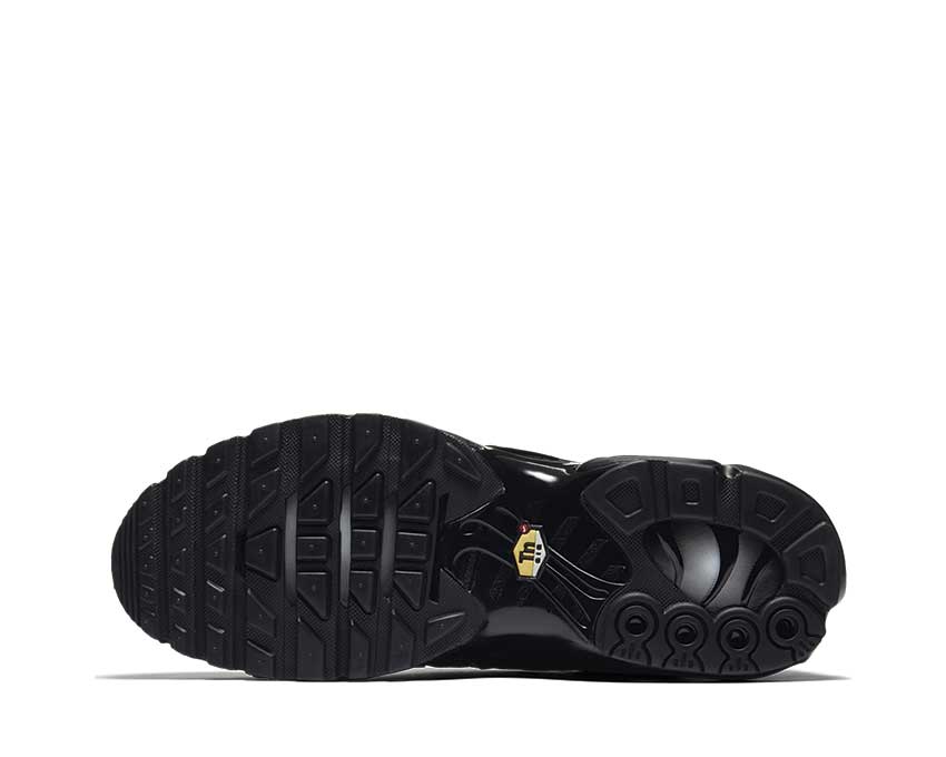 Nike Air Max Plus Black — vue arrière